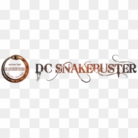 Dc Snakebuster - Divinity 2 Developers Logo, HD Png Download - doctor snake logo png