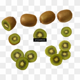 Kiwi Fruit Kiwi S Fruits Nuts - 12 Kiwis, HD Png Download - kiwi fruit png