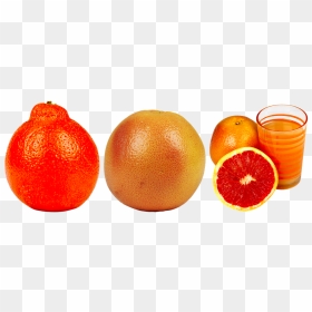 Grapefruit Juice, HD Png Download - fruit juice glass png