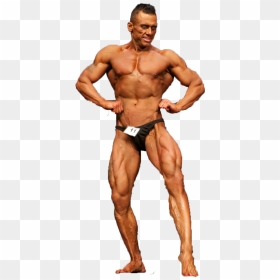 Bodybuilder Muscle Png - Body Builder Transparent Background, Png Download - bodybuilding vector png