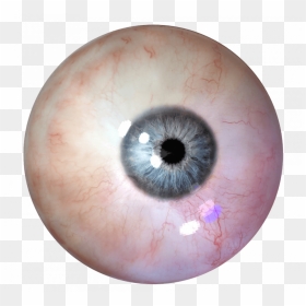 Real Eyes Lenses Png Transpa - Transparent Background Eyeball Png, Png Download - lens png hd