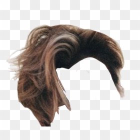 Niche Memes Hair Png, Transparent Png - hairstyle png boy
