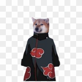 Shiba Inu, HD Png Download - mlg doge png