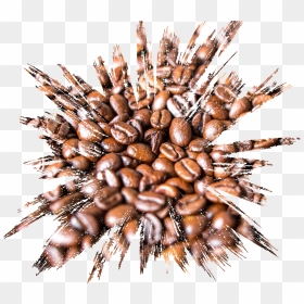 #coffee #splash #abstract #myjob #myart #4asno4i - Coffee 21 9, HD Png Download - coffee splash png