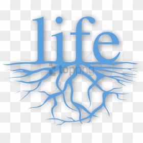 Free Png Love My Life I Am Beautiful Png Image With - Portable Network Graphics, Transparent Png - beautiful png images