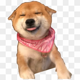 Happy Shiba Inu Meme, HD Png Download - mlg doge png