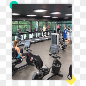 Gym, HD Png Download - gym png images