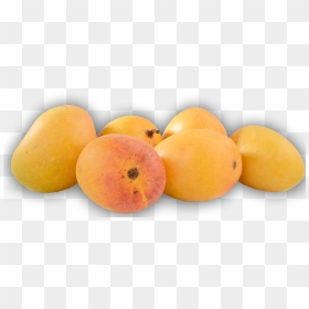 Alphonso , Png Download - Apricot, Transparent Png - alphonso mango png