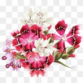 Tubes Fleurs / Bouquets Flower Clipart, Painting Flowers, - Fleurs Tubes Png, Transparent Png - beautiful png images
