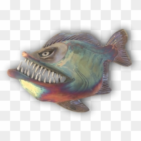 Transparent Anglerfish Png - Anglerfish, Png Download - sea fish png