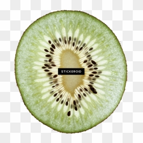 Kiwi Fruit Kiwi S , Png Download - 奇異 果, Transparent Png - kiwi fruit png