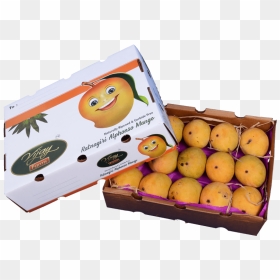 Pack Of 30 Alphonso Mangoes - Tangerine, HD Png Download - alphonso mango png