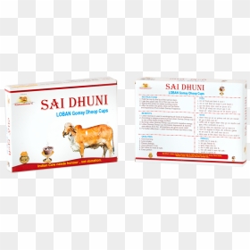 Image - Stallion, HD Png Download - indian cow images png