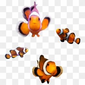 Cartoon, HD Png Download - payaso png