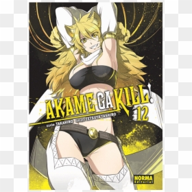 Akame Ga Kill, HD Png Download - akame ga kill png