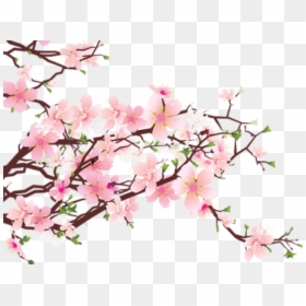 Cherry Blossom Tree Png, Transparent Png - pink tree png