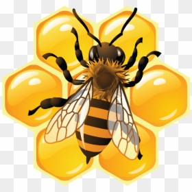 Honey Festival, HD Png Download - arrow keys png