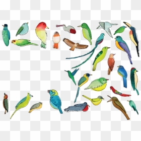 Coraciiformes, HD Png Download - quetzalcoatl png
