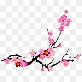 Chinese Cherry Blossom Vector, HD Png Download - cherry blossom vector png