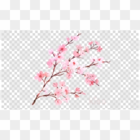 Rose Gold Flowers Png, Transparent Png - cherry blossom vector png