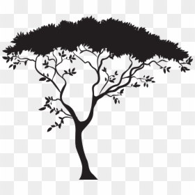 Cherry Blossom Vector Png, Transparent Png - cherry blossom vector png