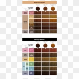 Kao Liese Color Chart, HD Png Download - colorful bubbles png