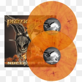 Nuclear Fire, HD Png Download - fire skull png