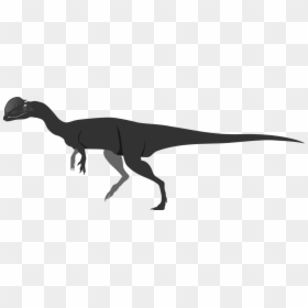 Lesothosaurus, HD Png Download - dilophosaurus png