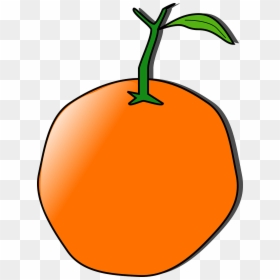 Orange Clip Art, HD Png Download - tangerine png