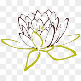 Brown Lotus Png Icons - Lotus Images In Black And White, Transparent Png - lotus clipart png