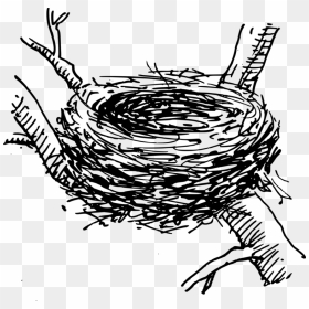Bird Nest Computer Icons Egg - Birds Nest In Tree Drawing, HD Png Download - nest clipart png