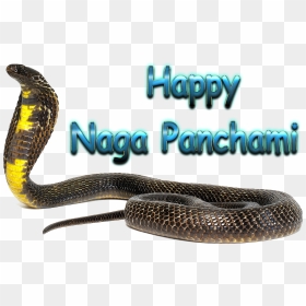 Naga Panchami Png Transparent Images Free Download - Happy Nag Panchami Png, Png Download - saraswati puja png