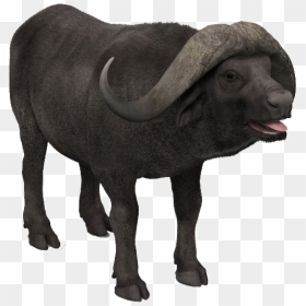 Buffalo Png Transparent Images - Working Animal, Png Download - buffalo png images