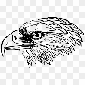 Snake Eagle Clip Arts - Eagle Beak Clipart Black And White, HD Png Download - egal png