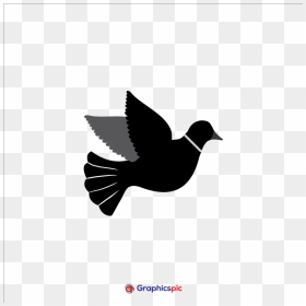 Graphics Vector - Perching Bird, HD Png Download - peace pigeon png