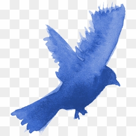 Watercolor Blue Bird Png, Transparent Png - peace pigeon png
