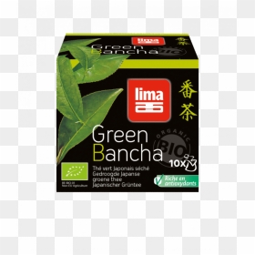 Riz, HD Png Download - leaf .png