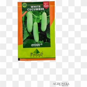 Gourd, HD Png Download - zendu flower png