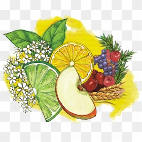 Fruits - Natural Foods, HD Png Download - fruits png image