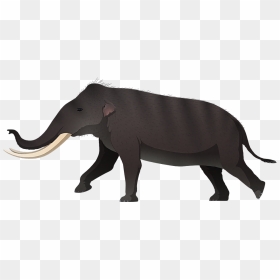 Transparent Elephant Png Tumblr - Stegodon Komodo Dragon, Png Download - elephant png image