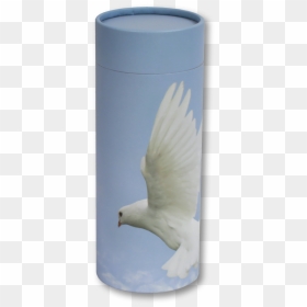 Ascending Dove - Dove, HD Png Download - peace pigeon png