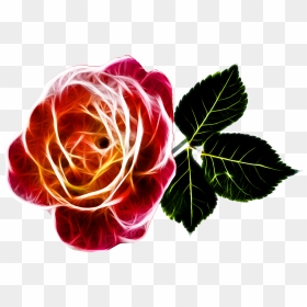 Rosa De Amor Png, Transparent Png - abstract flower png