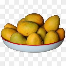 Mangoes In Bucket, HD Png Download - alphonso mango png