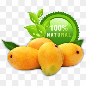 Mangoes - Alphonso Mango Png, Transparent Png - alphonso mango png