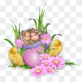 Frohe Ostern Wünsche, HD Png Download - nest clipart png
