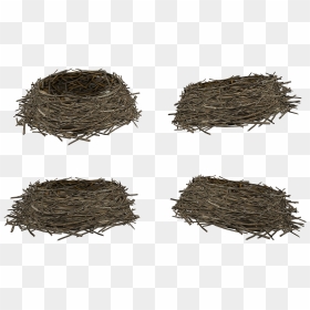 Nest Png - Transparent Birds Nest Png, Png Download - nest clipart png