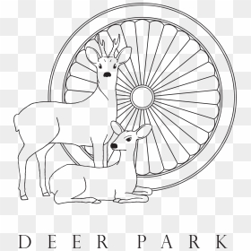 Logo - Deer Park Institute India, HD Png Download - sherawali png