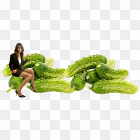 Gherkin Free Png Image - Vegetables Farm Png Transparent, Png Download - indian farmers png