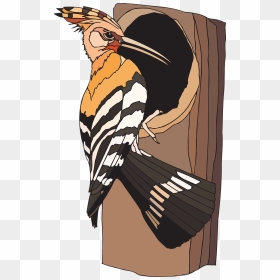 Woodpecker Clipart, HD Png Download - nest clipart png