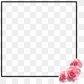 Transparent Tumblr Rose Png - Garden Roses, Png Download - girly tumblr png